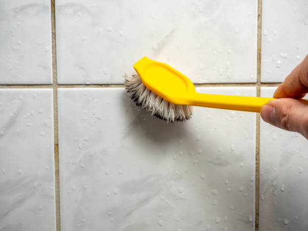 Best Mold Testing  in Bothell, WA
