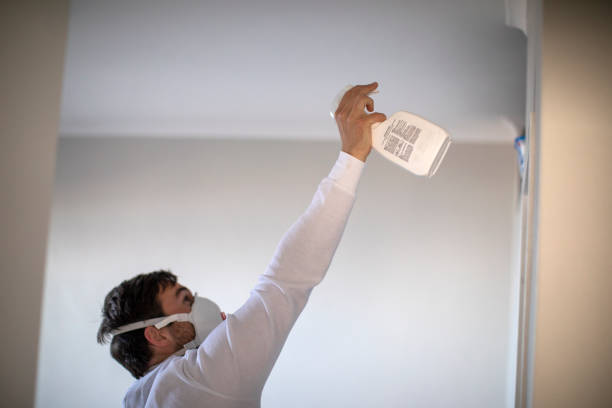 Best Emergency Mold Removal  in Bothell, WA
