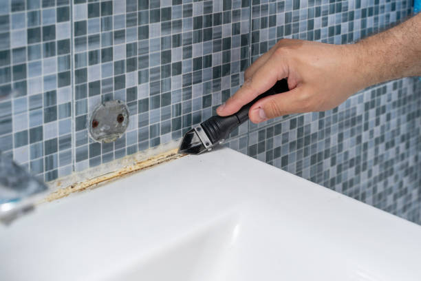  Bothell, WA Mold Removal Pros