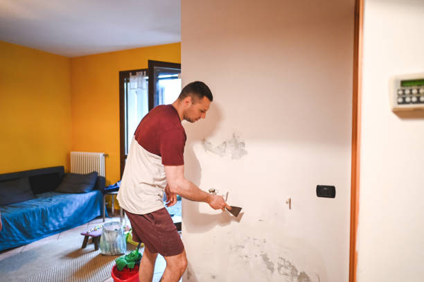 Best Black Mold Removal  in Bothell, WA